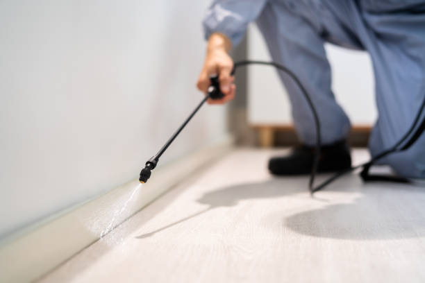 Licensed Mosquito Control service in Franklin Park, IL - Show Me Pest Control