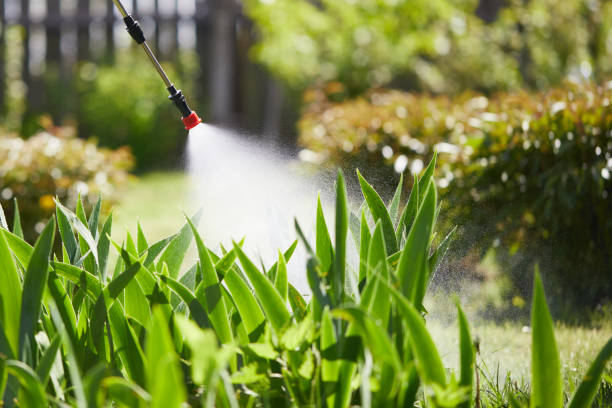 24/7 Emergency Mosquito Control experts in Franklin Park, IL