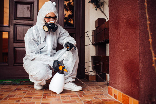 Reliable Mosquito Control contractor in Franklin Park, IL by Show Me Pest Control